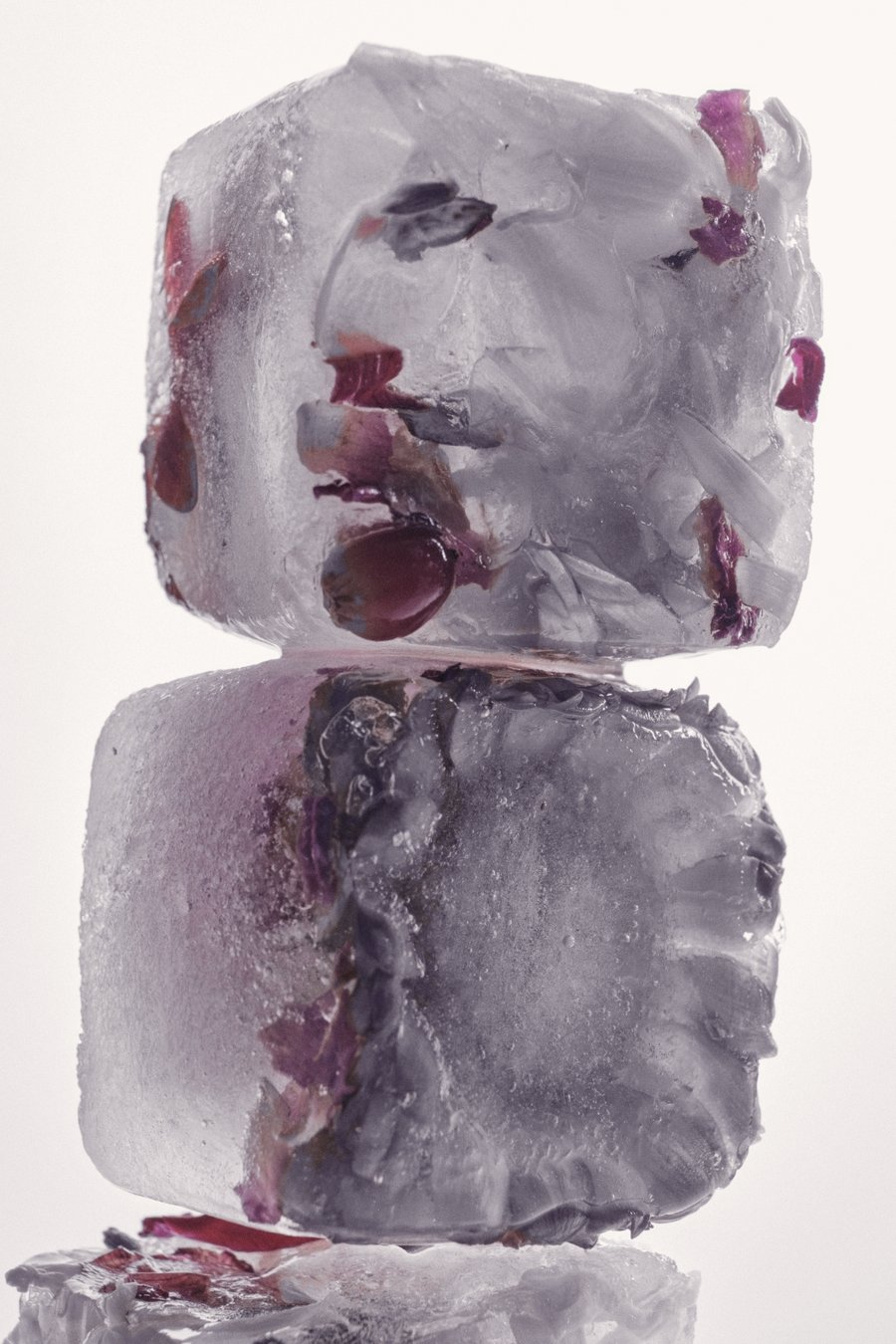 Flowers preserved in stacked blocks of ice